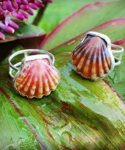 Caitlin Ross-Odom Sunrise Shell Ring Jewelry