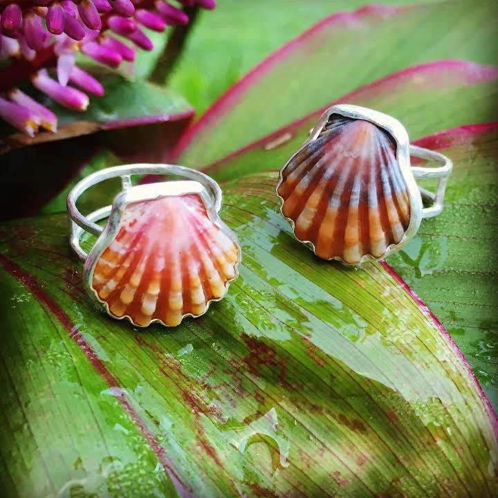 Caitlin Ross-Odom Sunrise Shell Ring Jewelry 3 Caitlin Ross-Odom Sunrise Shell Ring Jewelry