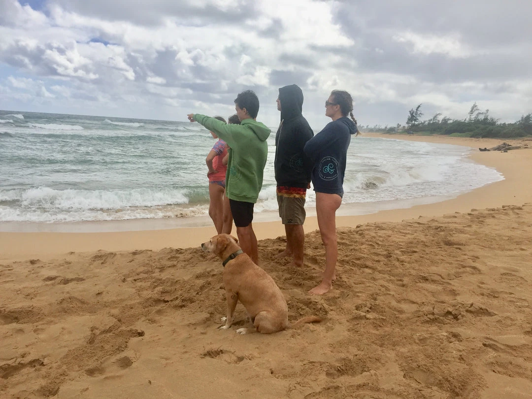 A.ell Design Organic Fleece Hoodie 7 A.ell Design Organic Fleece Hoodie