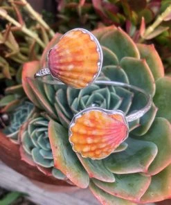 Caitlin Ross-Odom Double Sunrise Shell Bangle