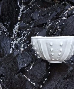 Emily Miller Sea Urchin Rice Bowl For The Home